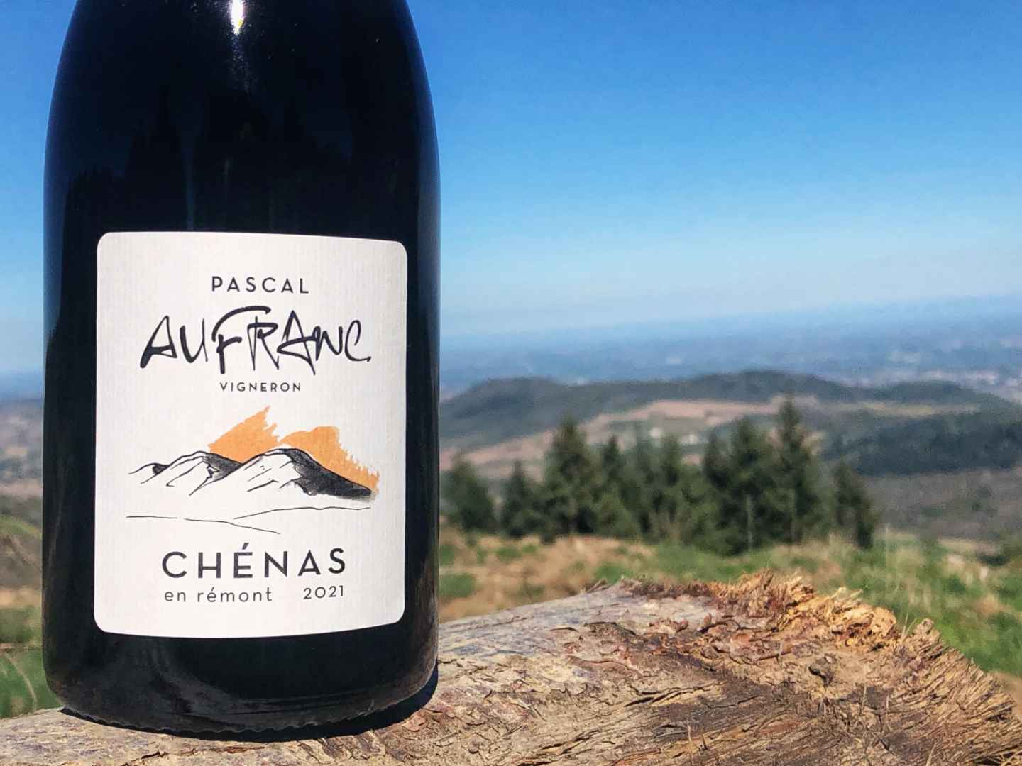 Domaine Pascal Aufranc - Artisan vigneron - Côte Beaujolaise